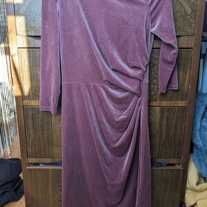 Eliza J Velvet Long Sleeve Dress in Mauve